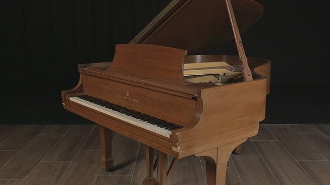 <span>1968</span> Steinway M