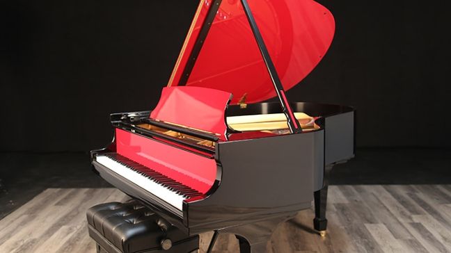 <span>2019</span> Steinway M